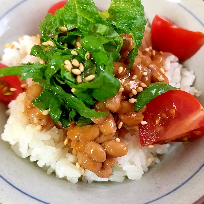 青じそ、トマトの納豆ご飯